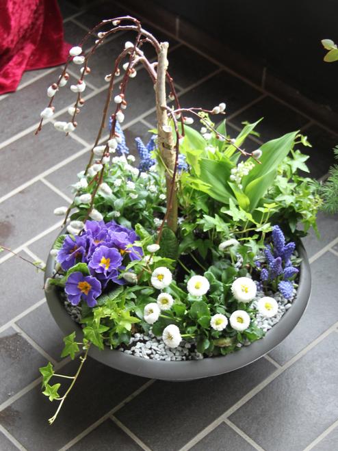 Blumentopf mit bunten Fr&uuml;hlingsblumen, Weidenk&auml;tzchen und einem kleinen Baum in einer grauen Schale.
